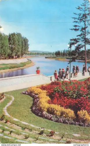 A5686 Romania Lugoj - pe malul Timisului