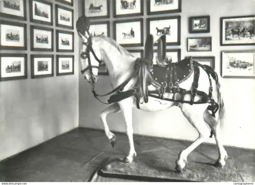 A5704 Czech Republic Slatinany castle museum hall horse statue