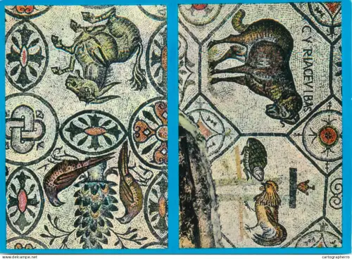A5701 Italy Aquileia Basilica Mosaic IV century multi view