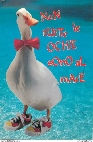 A5700 Funny humour animal types goose with sneakers and bow tie