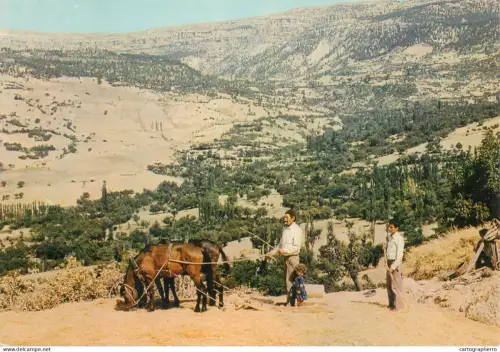 A5700 Countryside area rural scenery agricultural types and scenes people working in the field