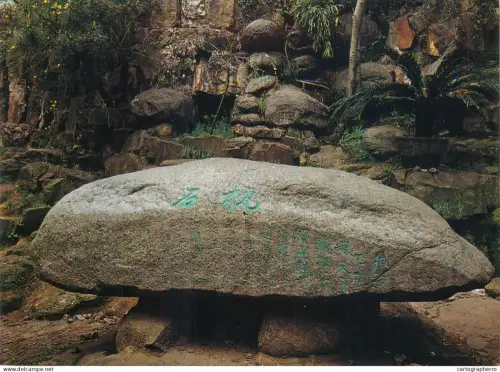A5697 Asia Pillow Stone of the Tiger Hill place identify