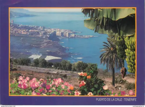 A5697 Spain Islas Canaris Tenerife Puerto de la Cruz