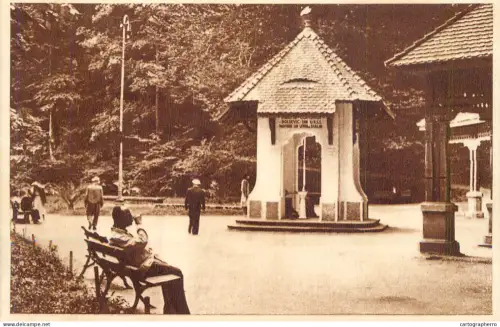 A6186 Romania Govora mineral water source