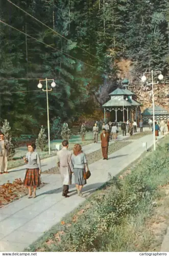 A6185 Romaia Slanic Moldova la izvoare