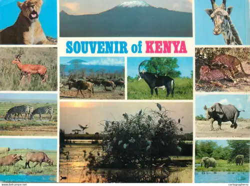 A5714 Kenya wildlife souvenir multi view