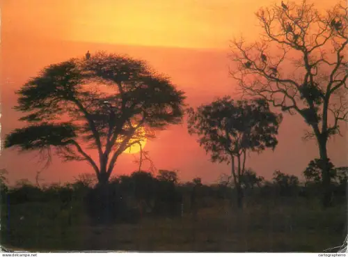 A5714 Southern Africa Bushveld sunset