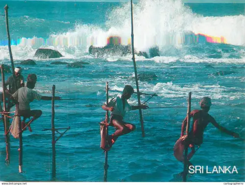 A5714 Sri Lanka stilt fishermen types and scenes