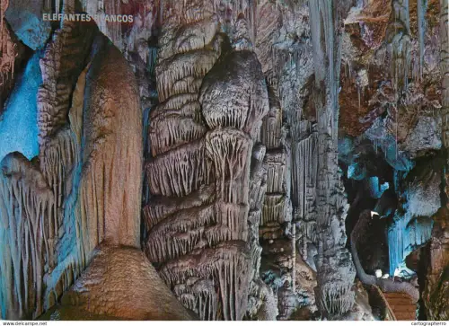 A5712 Spain Mallorca Cuevas de Campanet elefamtes blancos