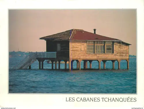 A5711 France Bassin d'Arcachon Les Cabanes Tchanquees