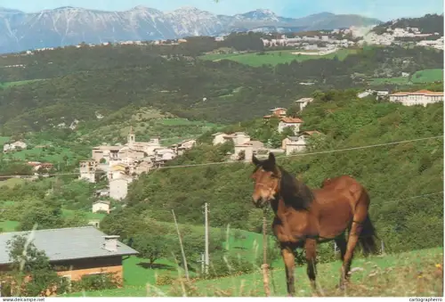 A5711 Italy Rovere' Veronese rural area horse