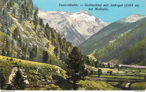 A6187 Seebachtal valley with the Ankogel mountain