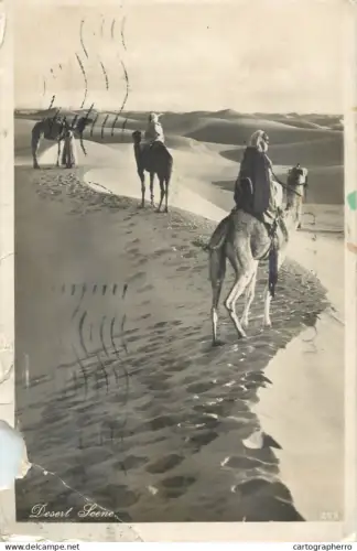 A6187 Africa desert scene photo postcard 1938