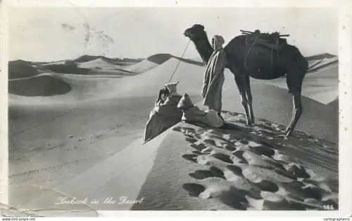 A6187 Africa lookout in the desert photo postcard 1939