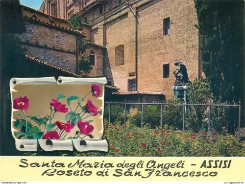 A5710 Italy Assisi Basilica S Maria degli Angeli Rose garden
