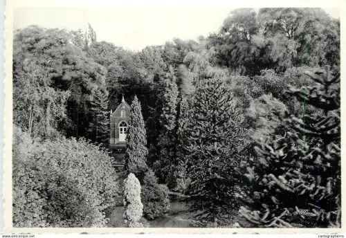 A6093 Belgium Wachtebeke Instituut O. L. Vrouw van het H. Hart jardin