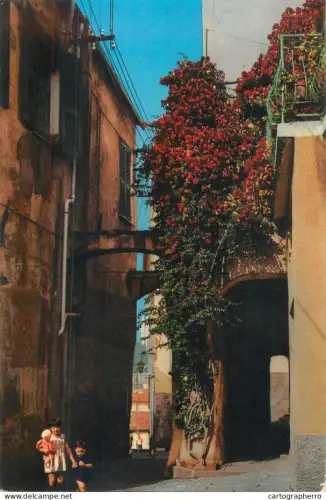 A5710 Italy Riviera dei Fiori Cervo Ligure