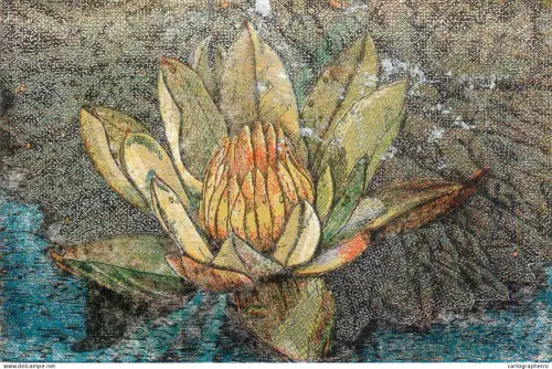 A6092 Romania silver foil novelty postcard Oradea Baile Felix water lily