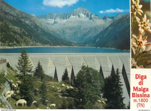 A5709 Italy Trentino Gruppo Adamello Presanella Val Daone