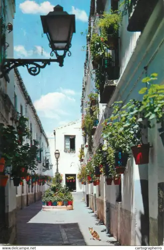 A5708 Spain Costa del Sol typical street view