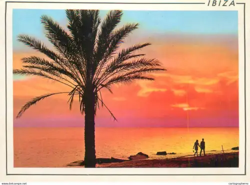 A5708 Spain Ibiza sunset view palm tree