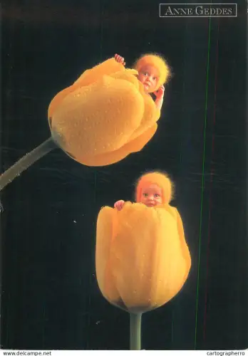 A6205 Tulips toddlers by Anne Geddes