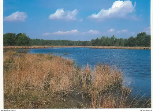 A5720 Belgium Heide Kalmthout Putse Moer