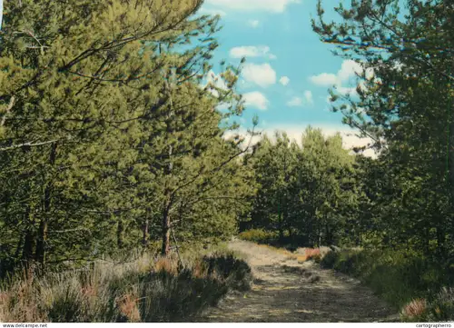 A5720 Belgium Heide Kalmthout Les Bruyeres