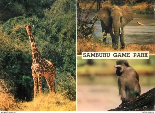A5719 Animal types Samburu Game Park multi view