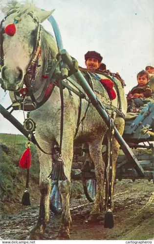 A5715 Rural types and scenes parents and child family groupff with horse drawn cart