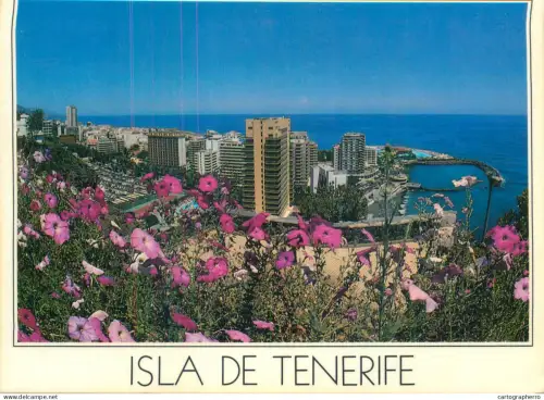 A5715 Spain Isla de Tenerife panorama
