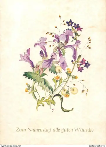 A6099 Species of Sage (Salvia) Naming Day greetings postcard Germany