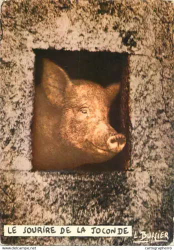 A6099 Cochon carte postale humoristique "Le sourire de la Joconde" par Louis Buffier postcard 1969
