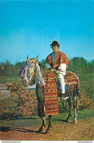 A6097 Romania calaras de munte din Avrig