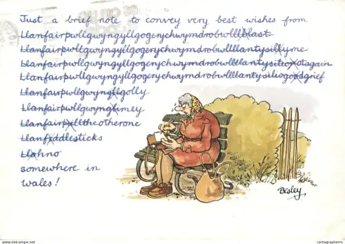 A6095 Besley comic caricature postcard - somewhere in Wales