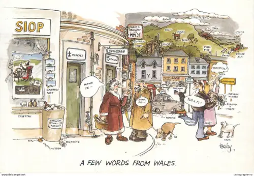 A6095 Besley comic caricature postcard - a few words from Wales