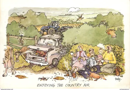 A6095 British humor caricature postcard enjoying the country air