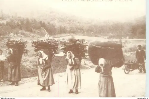 A6096 Chiny, Belgium women carrying large bundles of wood repro postcard