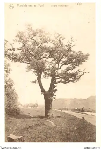 A6096 Marchienne-au-Pont, Belgium calendar on verso 1982