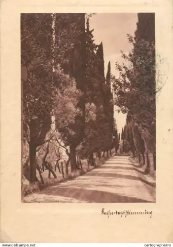 A5770 Park alley with trees place to identify