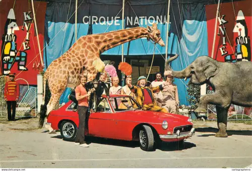 A6210 Swiss Circus Knie