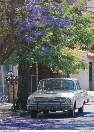 A6210 Ford Falcon sedan Argentina