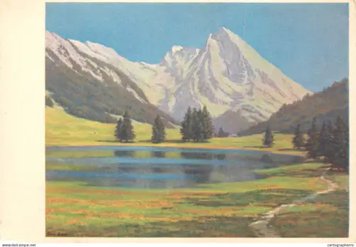 A6208 Gräppelsee near Wildhaus in Switzerland Kunstler Postkarte E. Bauer