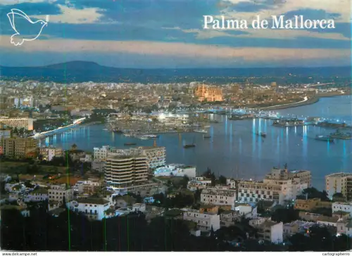 A5765 Spain Palma de Mallorca La Bahia de noche
