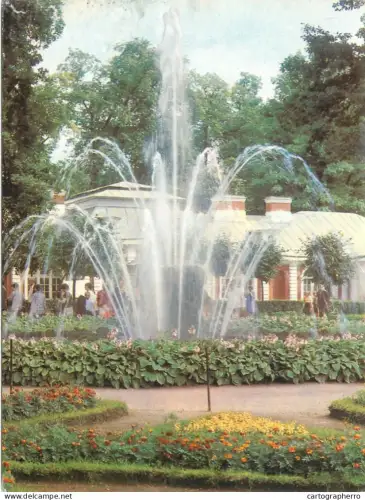A5750 Russia St Petersburg Peterhof fountain