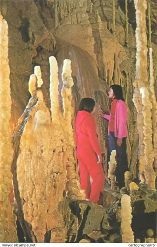 A5750 Romania Chiscau jud Bihor Pestera Ursilor