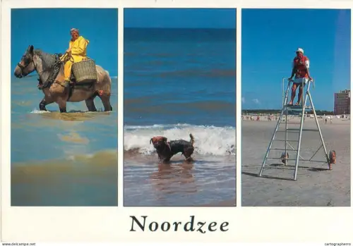 A5748 Belgium Nordzee different aspects