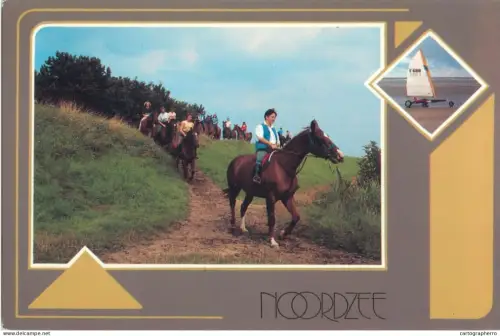 A5748 Belgium Nordzee rural area horse riding types and scenes