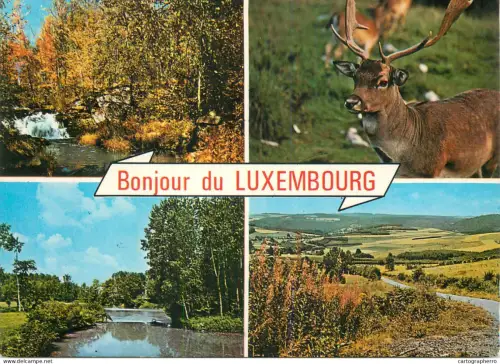 A5746 Bonjour de Luxembourg animals deer and landscape multi view