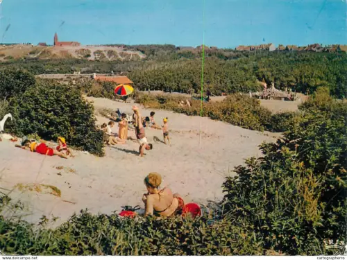 A5745 Belgium Heist sur Mer - petit bois